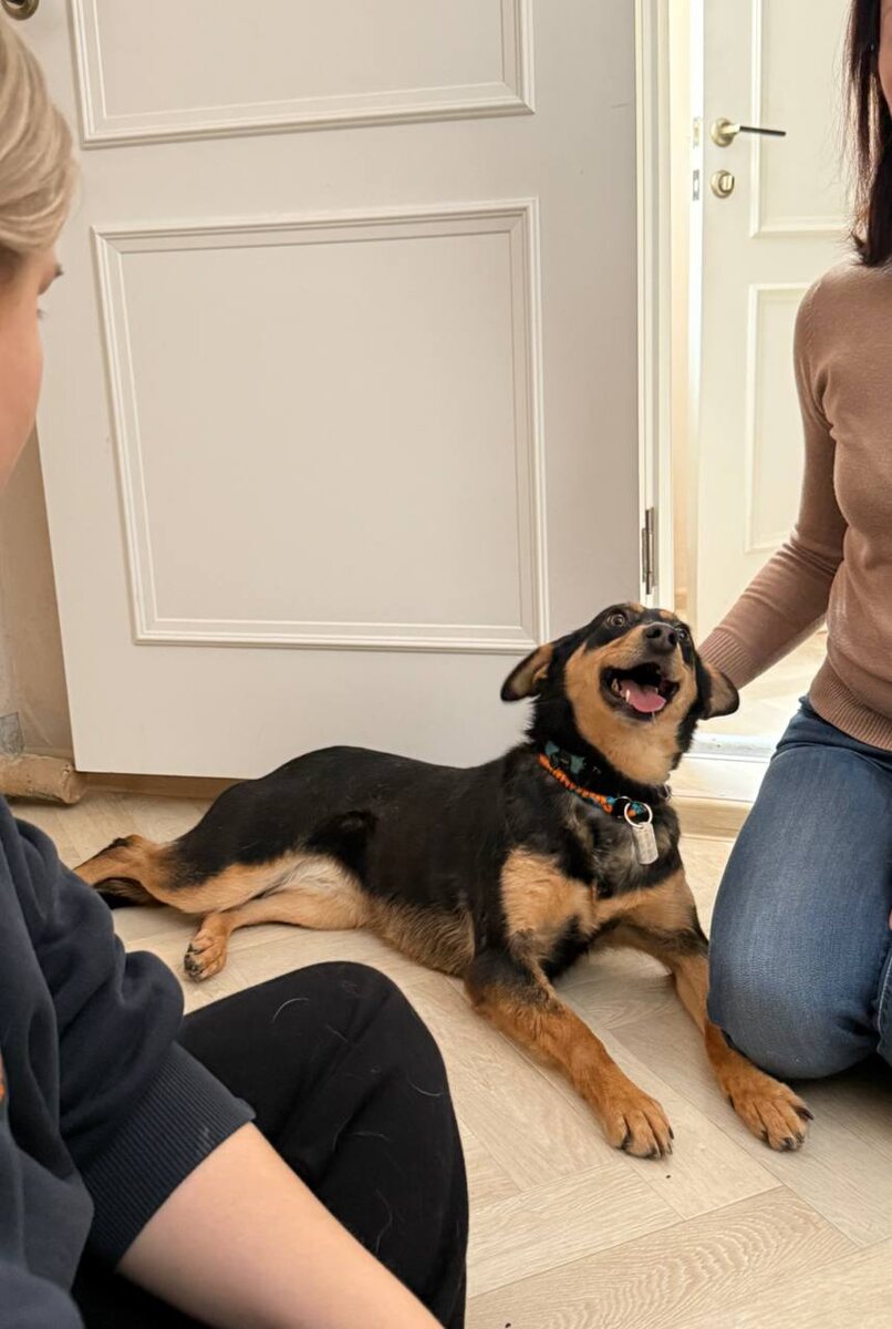 Я уже почти год как дом? А я думала стопятьсот лет уже прошло:)