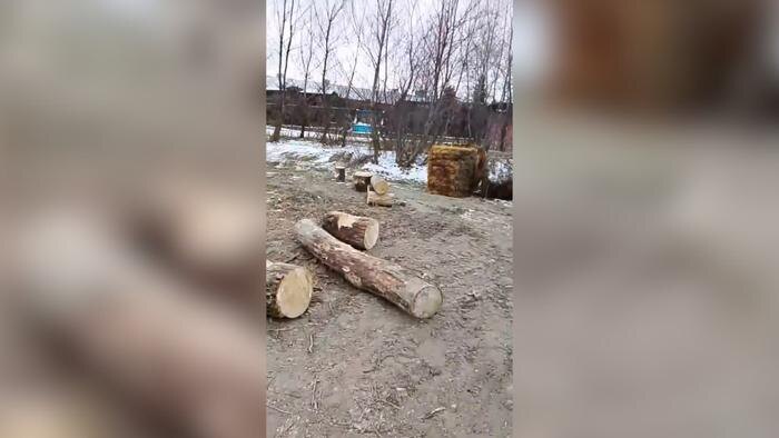 Обложка © Telegram / Михаил Миненков Невынномысск