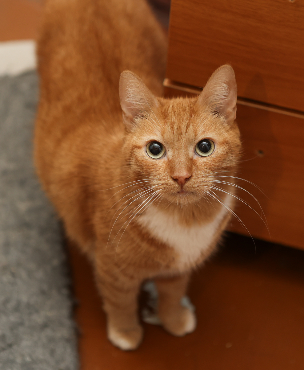 И в глаза смотреть с любовью