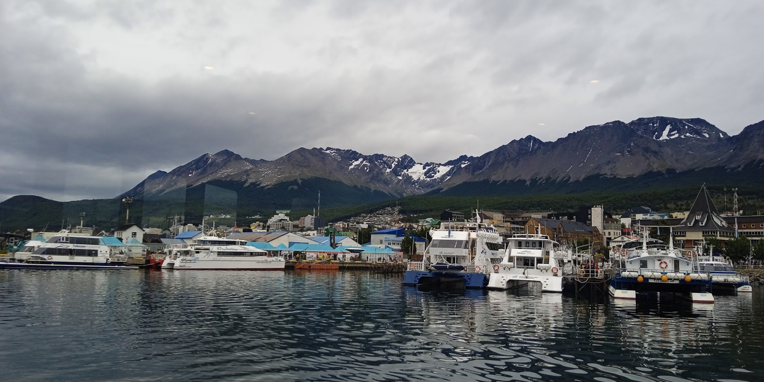 Ушуайя: чем заняться на краю света? Например, развлечь пингвинов на острове.