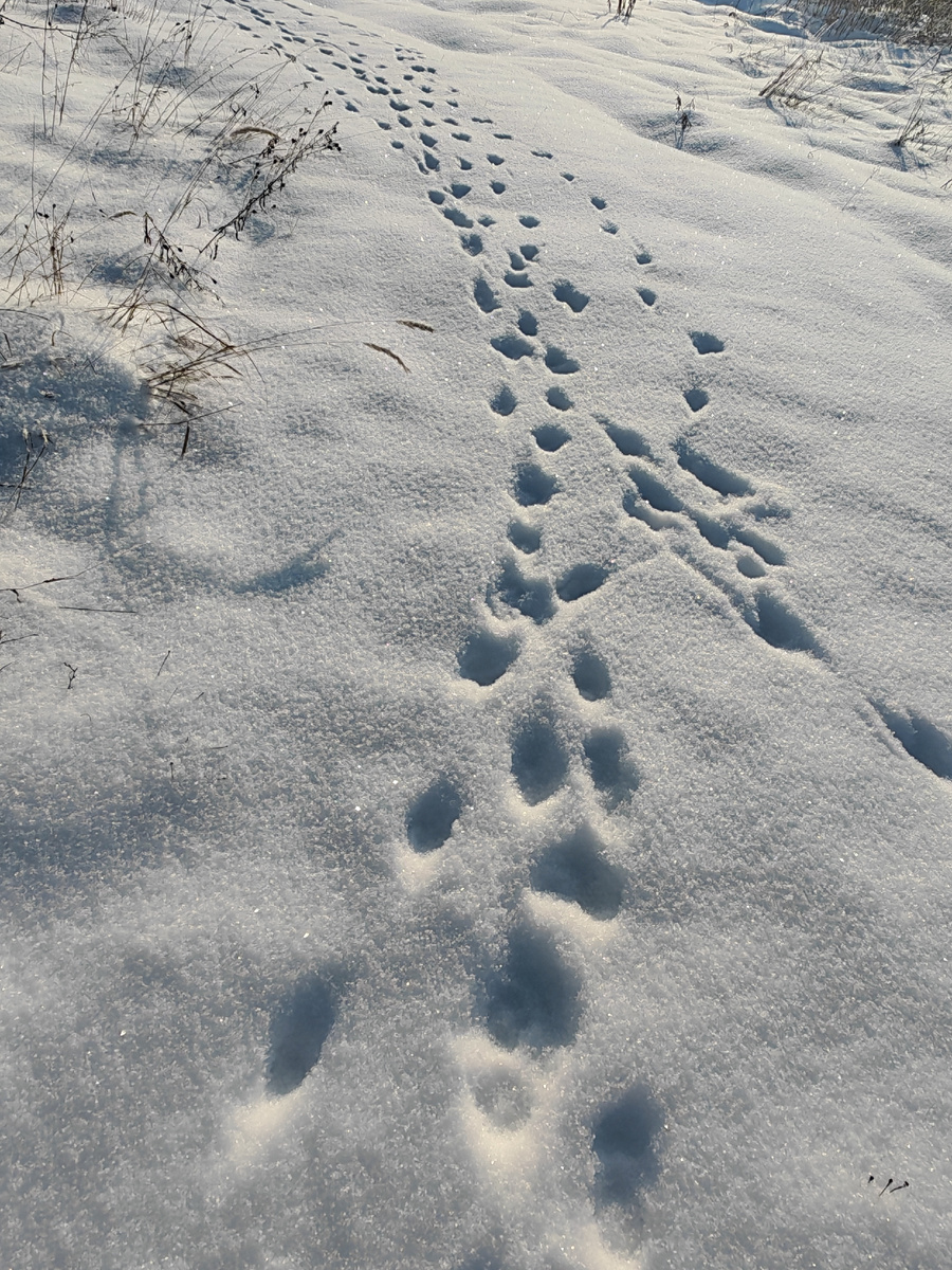 Фото автора канала.