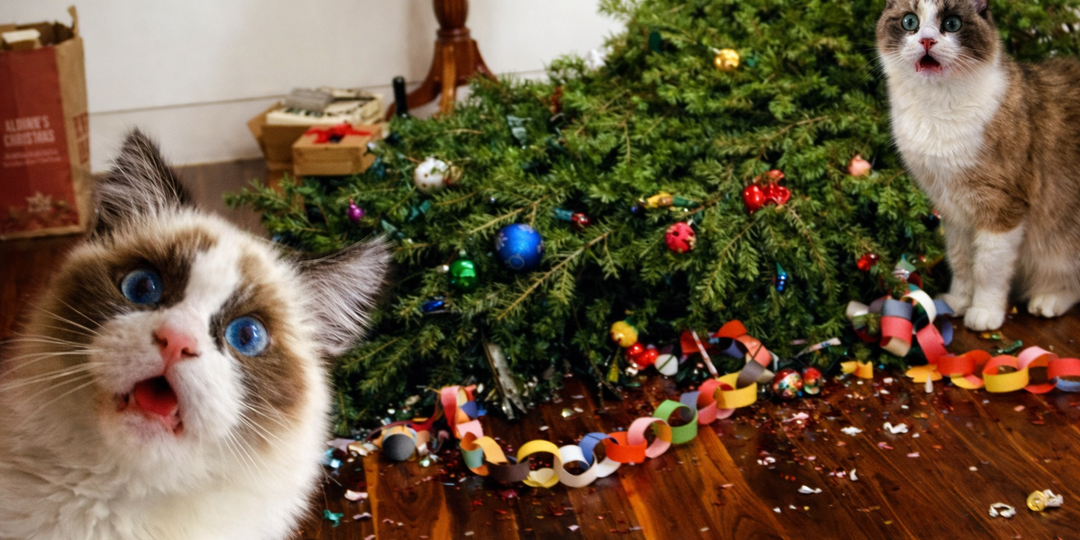 Забавные новогодние фотографии котиков, которые наводят праздничную суету. Парочка советов о том, как это можно было избежать.