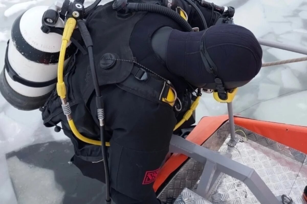    Пропавших накануне Нового года супругов нашли в озере в Самарской области