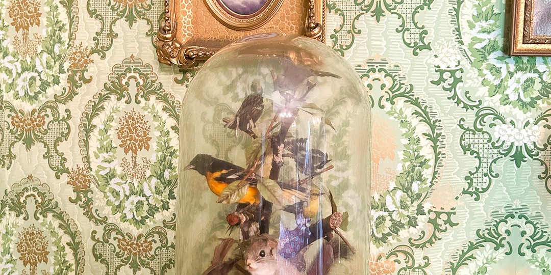 "Cаркофаг" в гостиной: жутковатая мода Европы, которую нам не понять