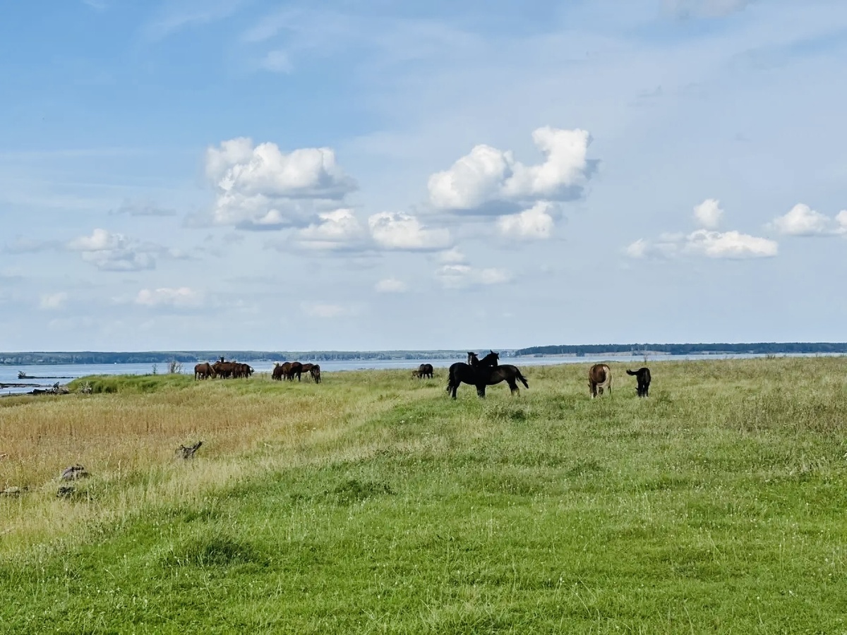 Согласна, очень красивые места. На берегу в Абрашино. 