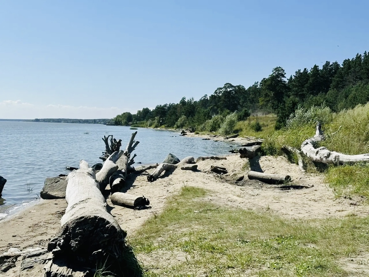 Обская губа. Ордынский район. 