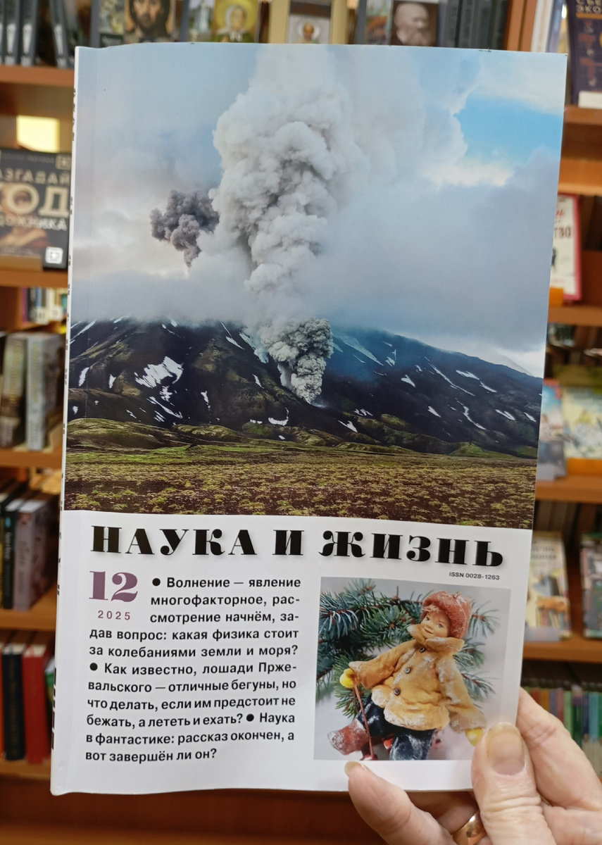 Фотография автора