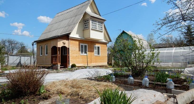    lana1501 / Фотобанк Лори