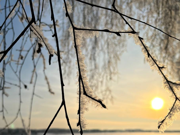 Утро Крещенкого сочельника. Фото автора