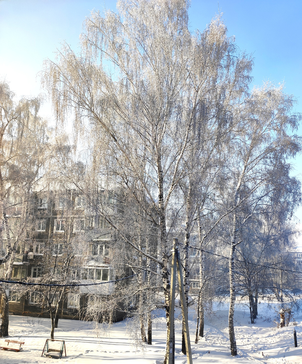 Утро за окном 