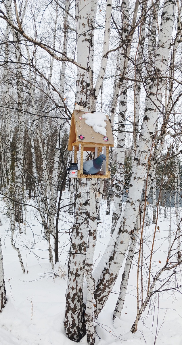 "Доброе утро, мир! Ты прекрасен!" Фото автора