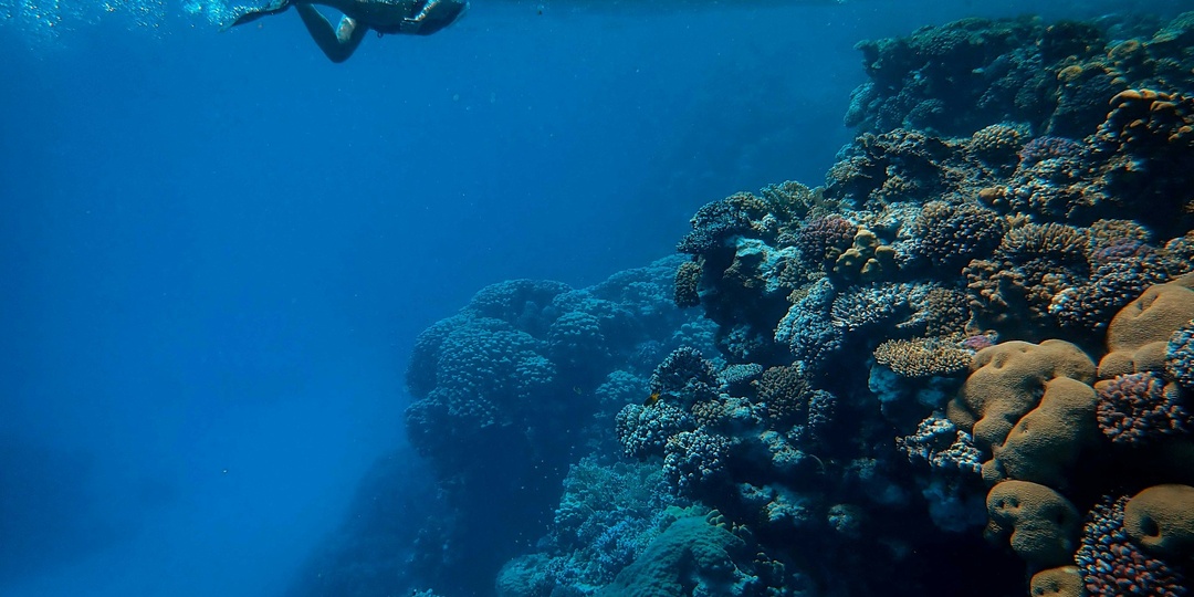 Шарм-эль-Шейх. Отели с лучшими рифами рядом