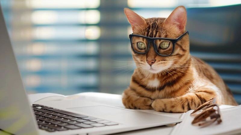    Фото: Svetlana Rey/Shutterstock/Fotodom