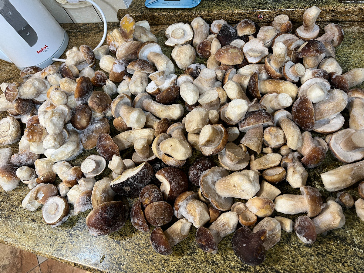 Это мои замороженные белые грибы. Зима 2024. Фото автора