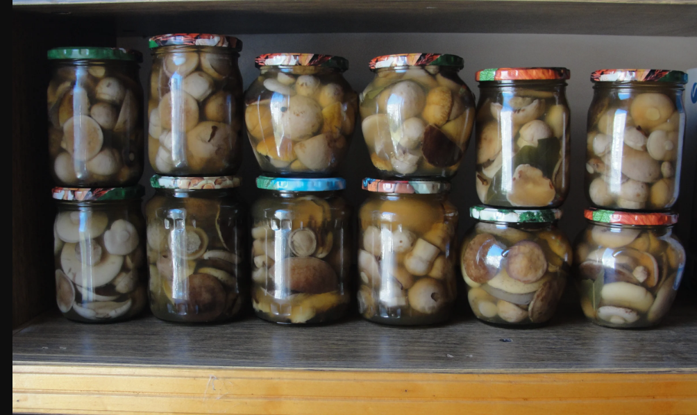 Фото Старого Солдата. Подосиновики