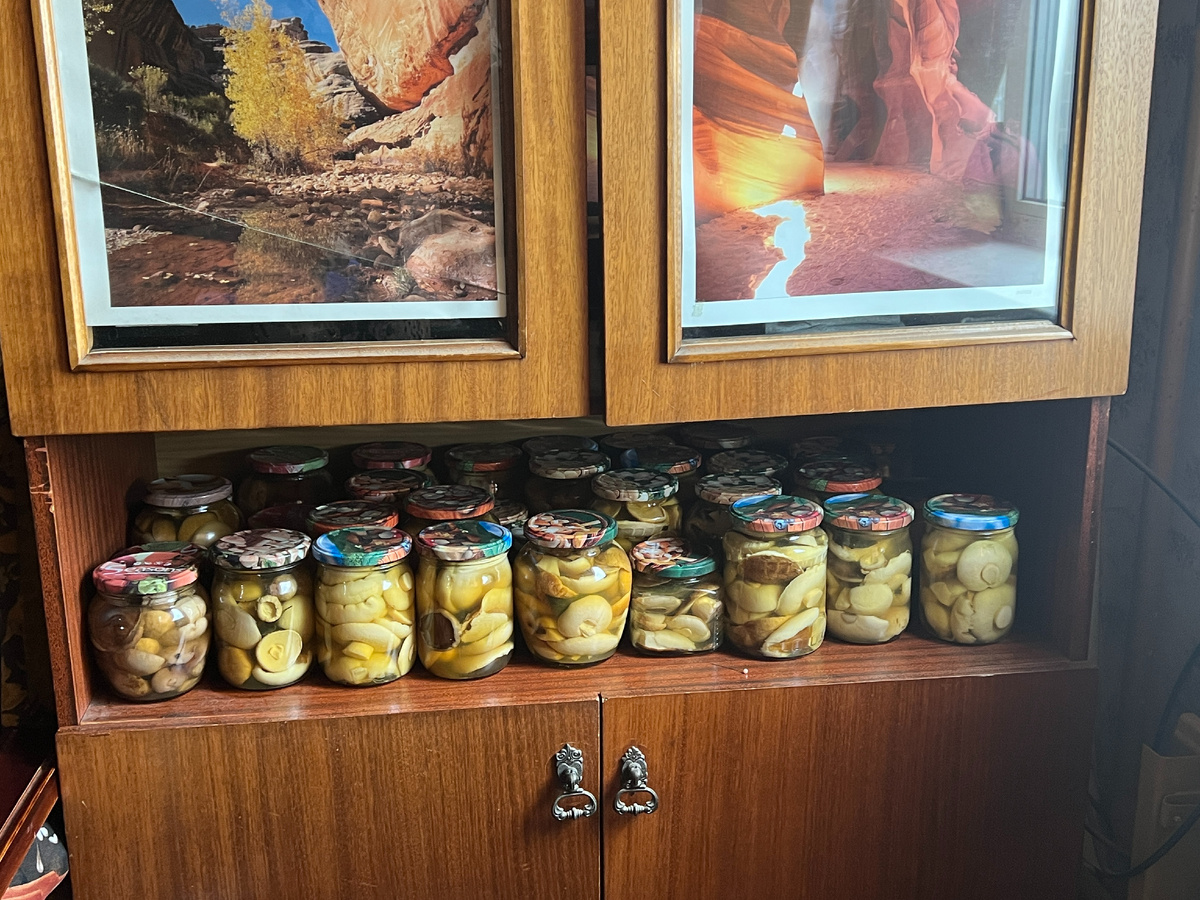 Фото Старого Солдата. Белые грибы