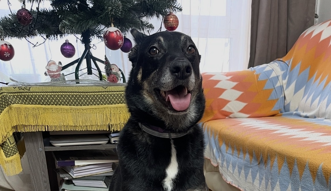 Думаю, вам будет интересно 😁