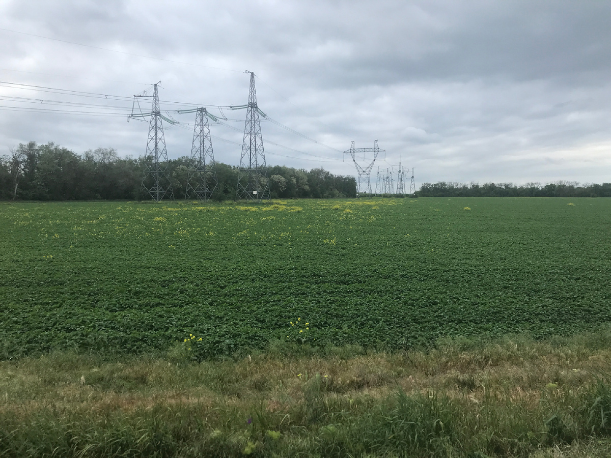 В этом году это поле бесхозное. За Кулешовкой-2 (Азовский район)