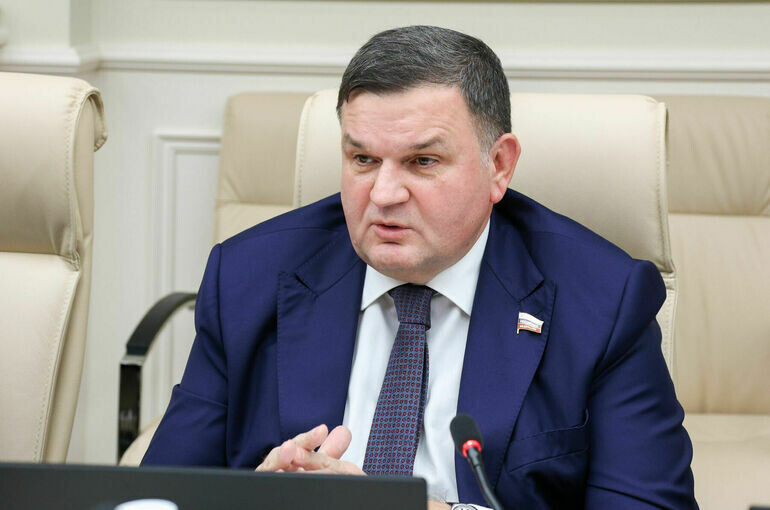   Денис Вышинский / Пресс-служба Совета Федерации