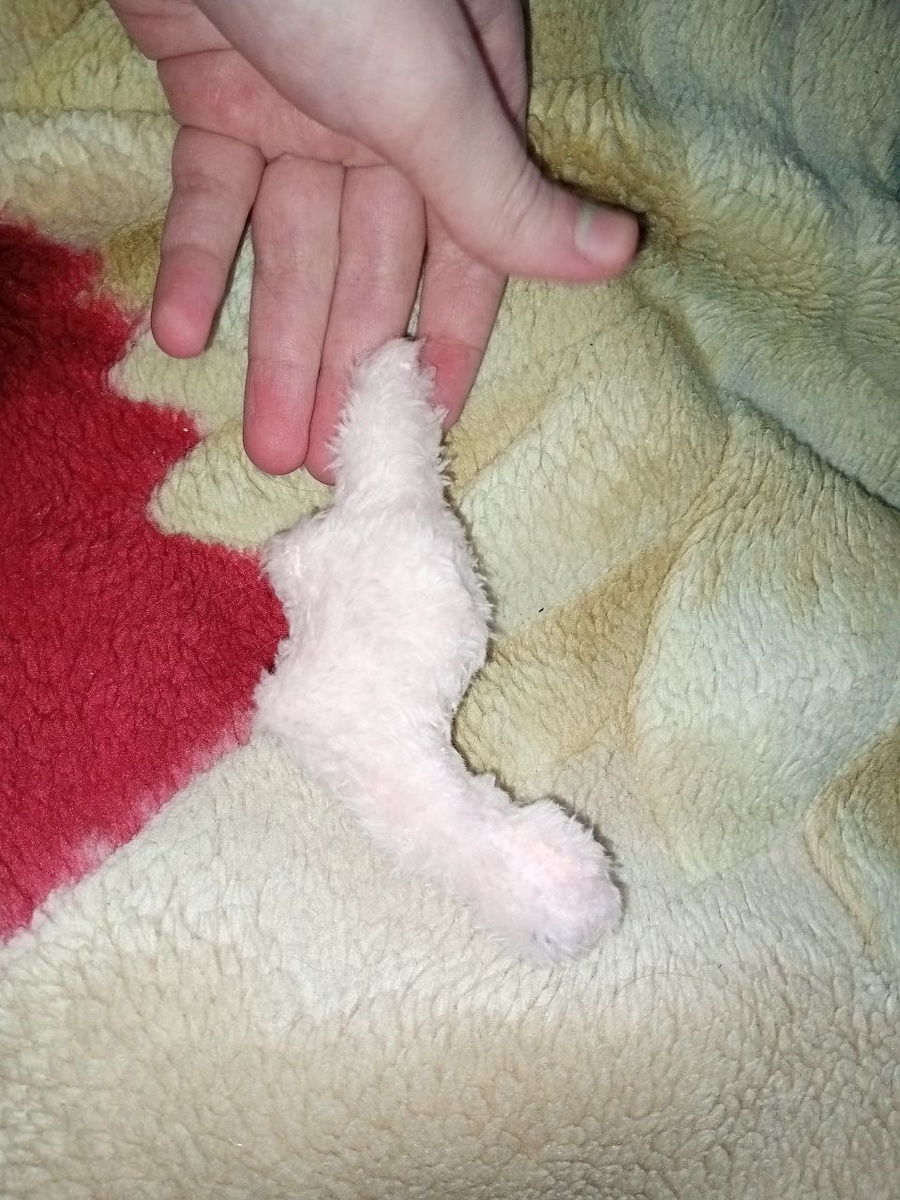 -2