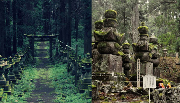 Тайна японского Окуноина. Что скрывает в себе самое странное кладбище в мире