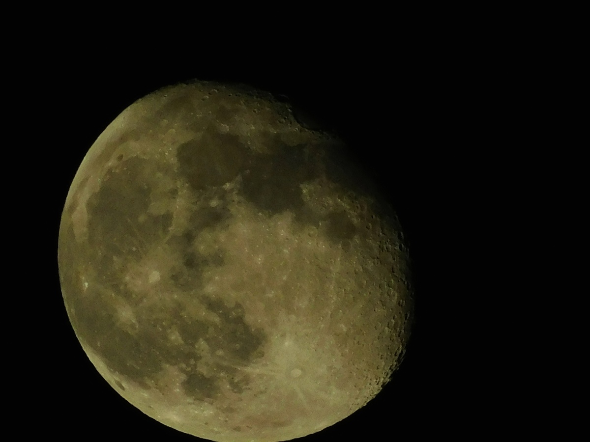    Вячеслав Вольгин