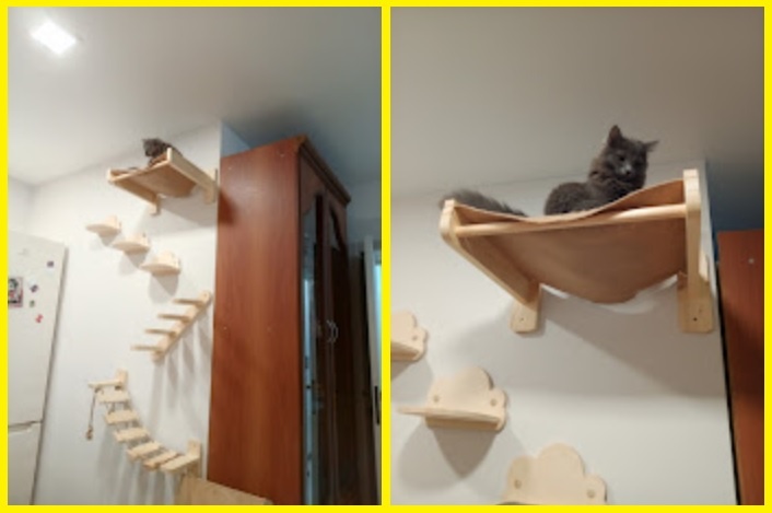 Вот так любит Пикси прятаться от нас на своей лежанке. Да порой хвост её выдаёт. 