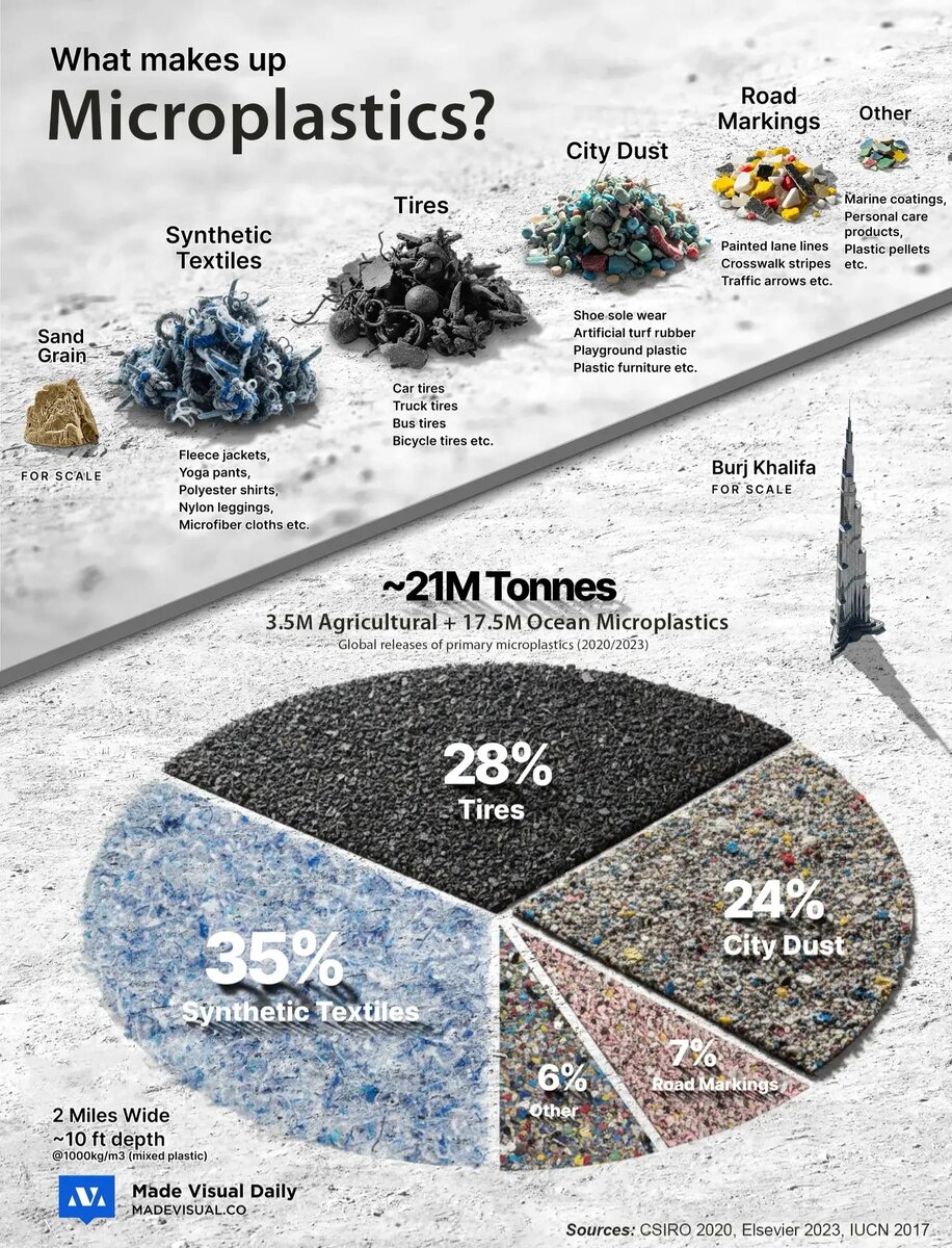    Фото: naked-science.ru Полина Белоусова
