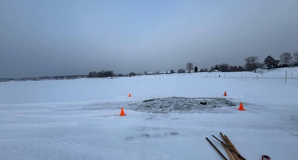    УМВД России по Омской области / Telegram