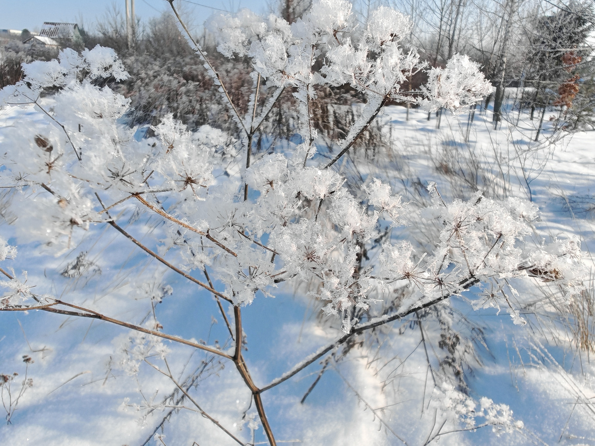 Фото автора канала.