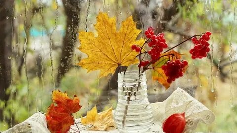 Картинка из интернета.