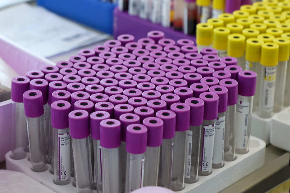    Наталья Шатохина/NEWS.ru