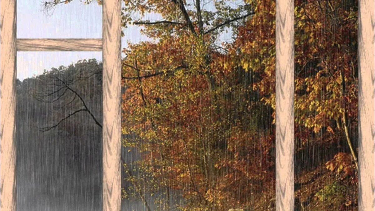 Картинка из интернета.