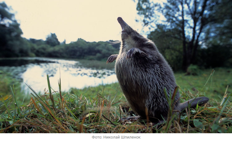 Источник новости: https://nia.eco/2025/12/26/110581/