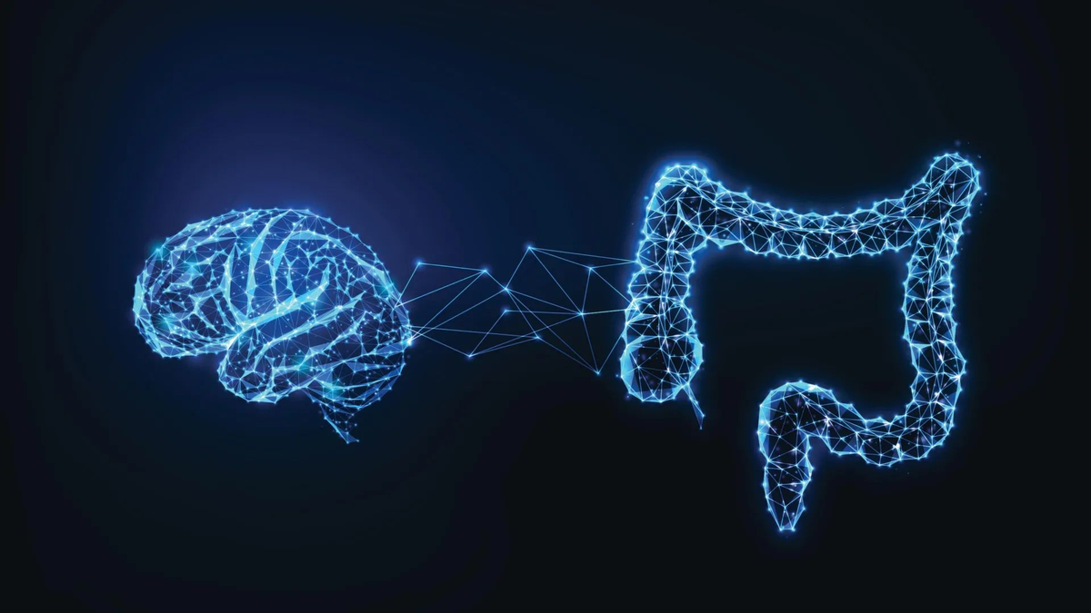 Изображение: Shutterstock