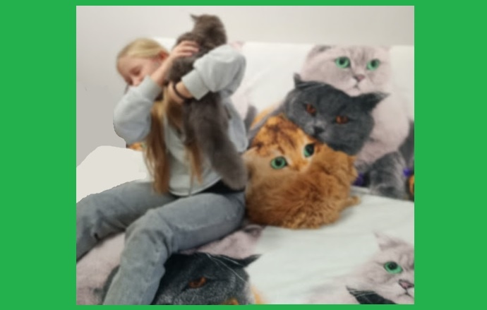 Найдите кота!