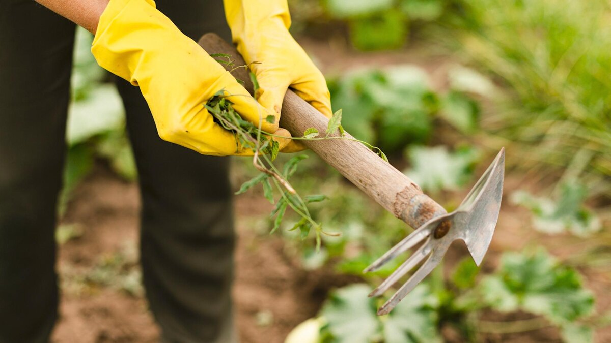    Фото: freepik.com