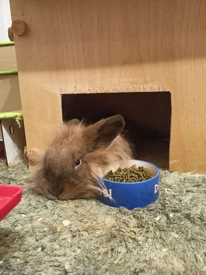 вот так Банечка могла проводить много времени