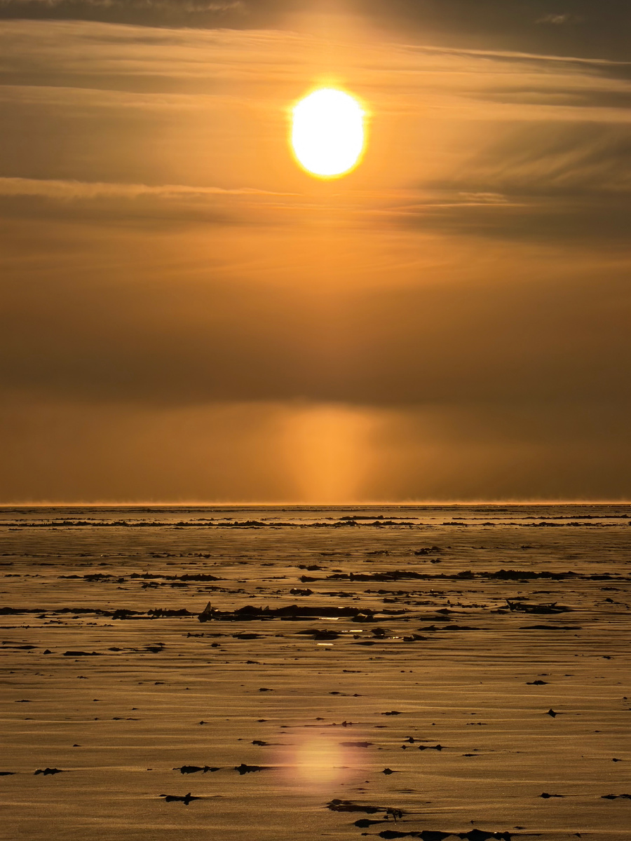 Финский залив зимой