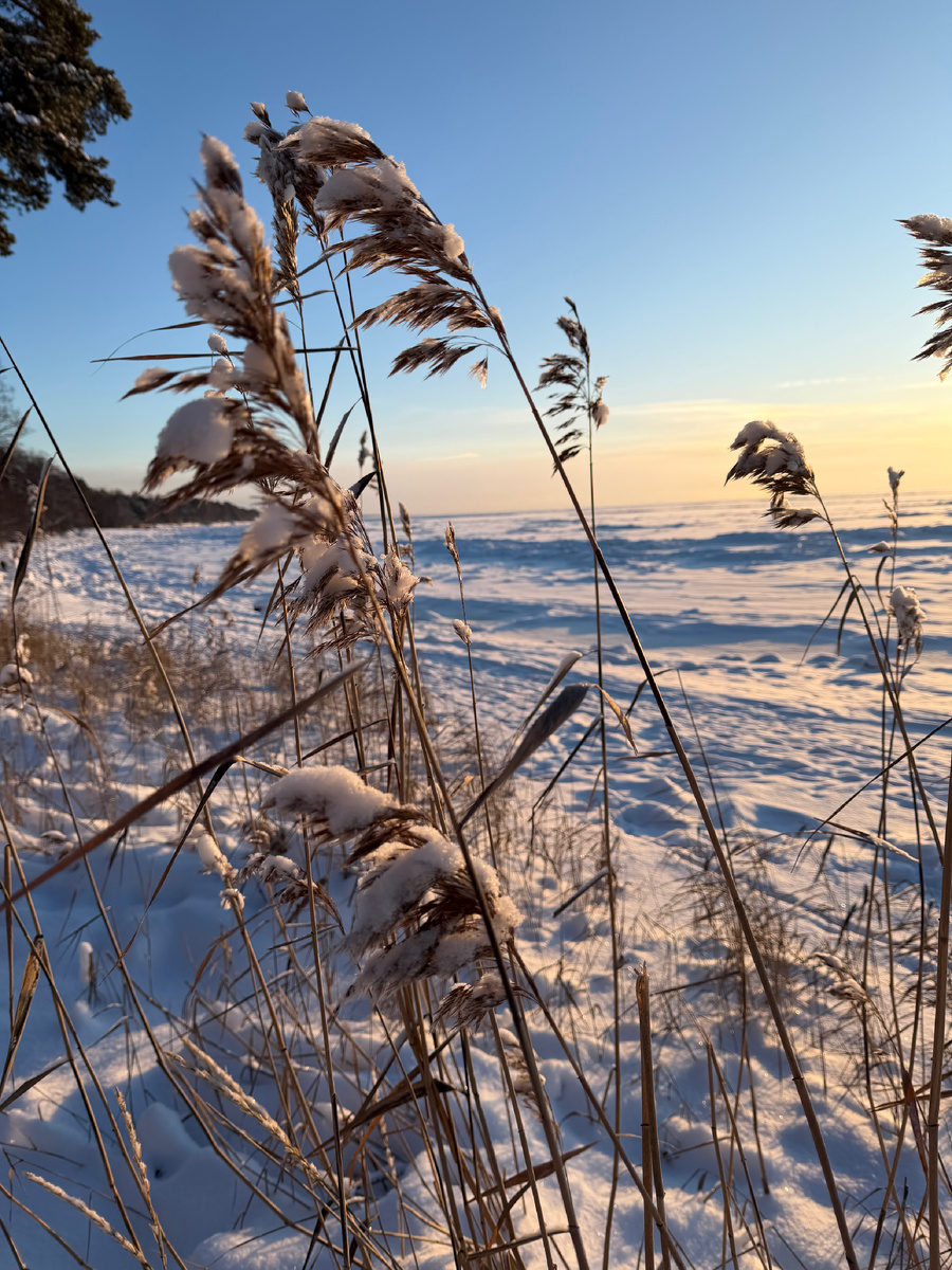 Вода подо льдом. Финский залив