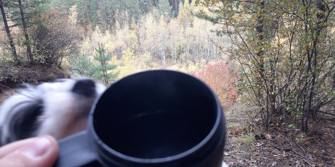 Шалаш в лесу: благодать да спокойствие