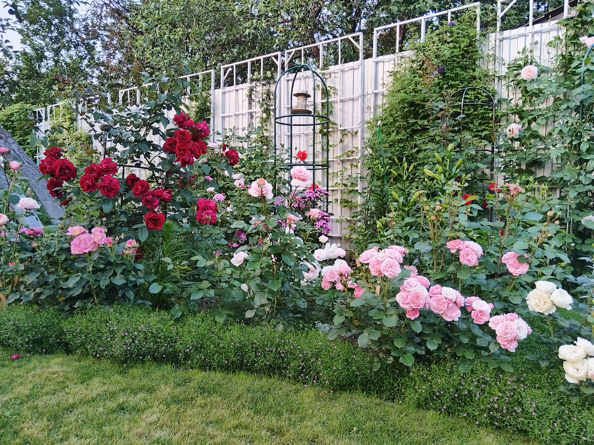 Воздушная, сказочная, легкая, как облачко 💓