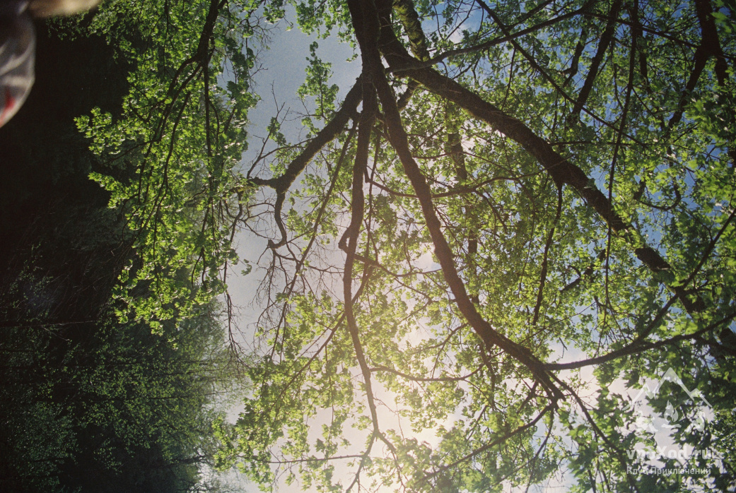  Автор фотографии: Екатерина