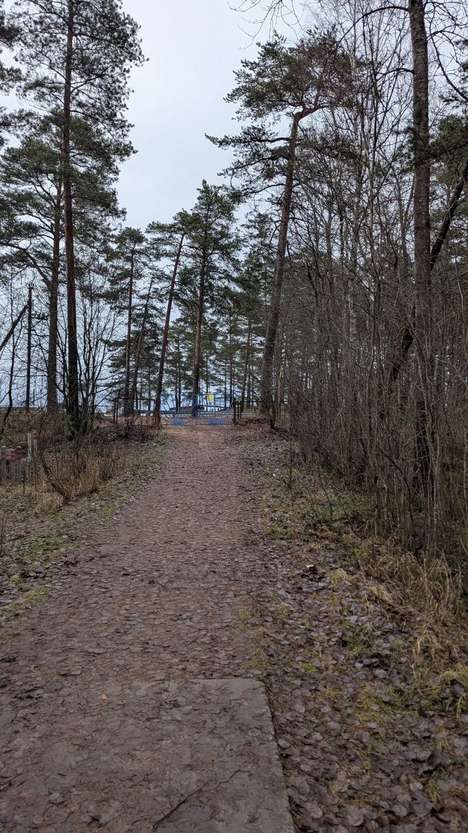 Вид от начала дороги в обход лагеря назад 