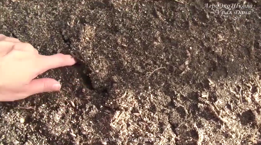 земля высыхат и появляься трещены