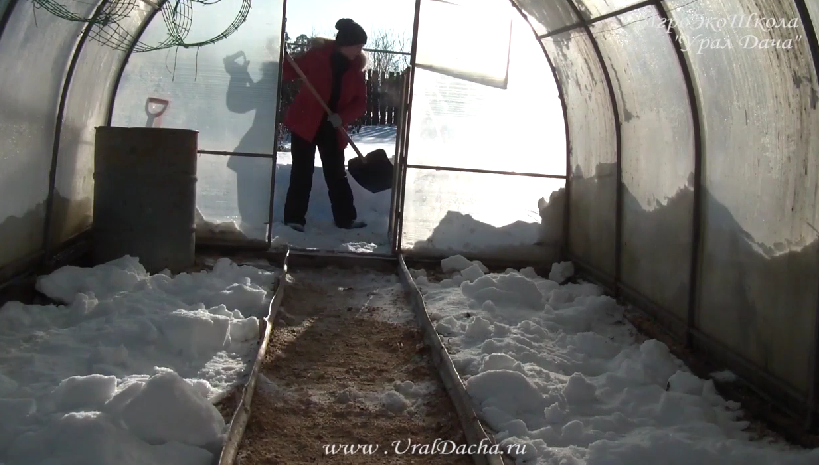 Чем может навредить СНЕГ в теплице