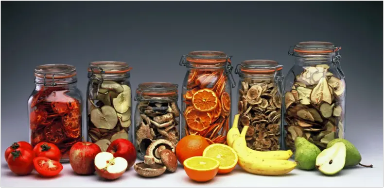 Сохраняем урожай! Сушка или Сублимация? Варим борщ и рассольник на рыбалке