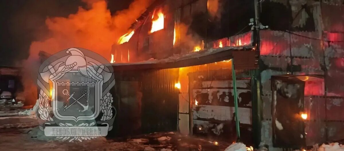    Фото: пресс-служба Леноблпожспас.