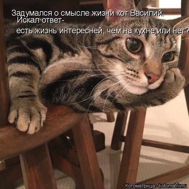 Если Таня идёт на кухню, мы тут же следом!