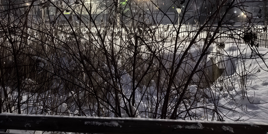 Как я училась говорить «нет»...